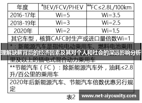 理解缺薪背后的经济因素及其对个人和社会的深远影响分析