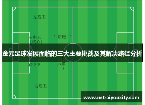 金元足球发展面临的三大主要挑战及其解决路径分析
