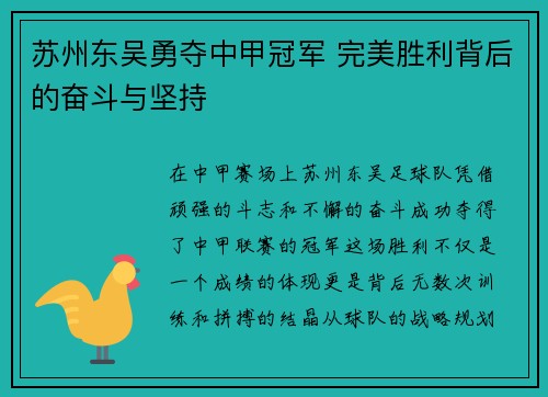 苏州东吴勇夺中甲冠军 完美胜利背后的奋斗与坚持
